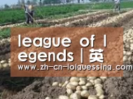 种植基地八