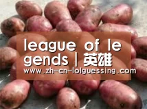 产品展示标题5