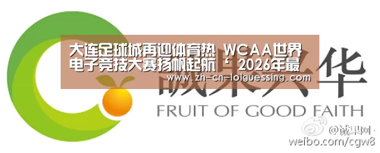 LoL投注网站 