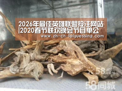  2026年最佳英雄联盟投注网站