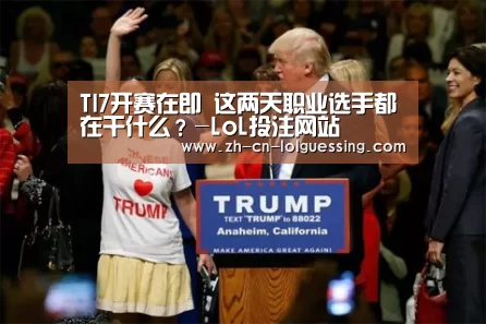 LoL投注网站 