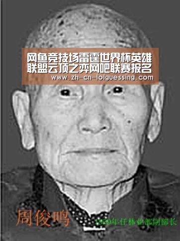 LoL投注网站 