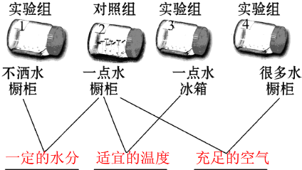 LoL投注网站 
